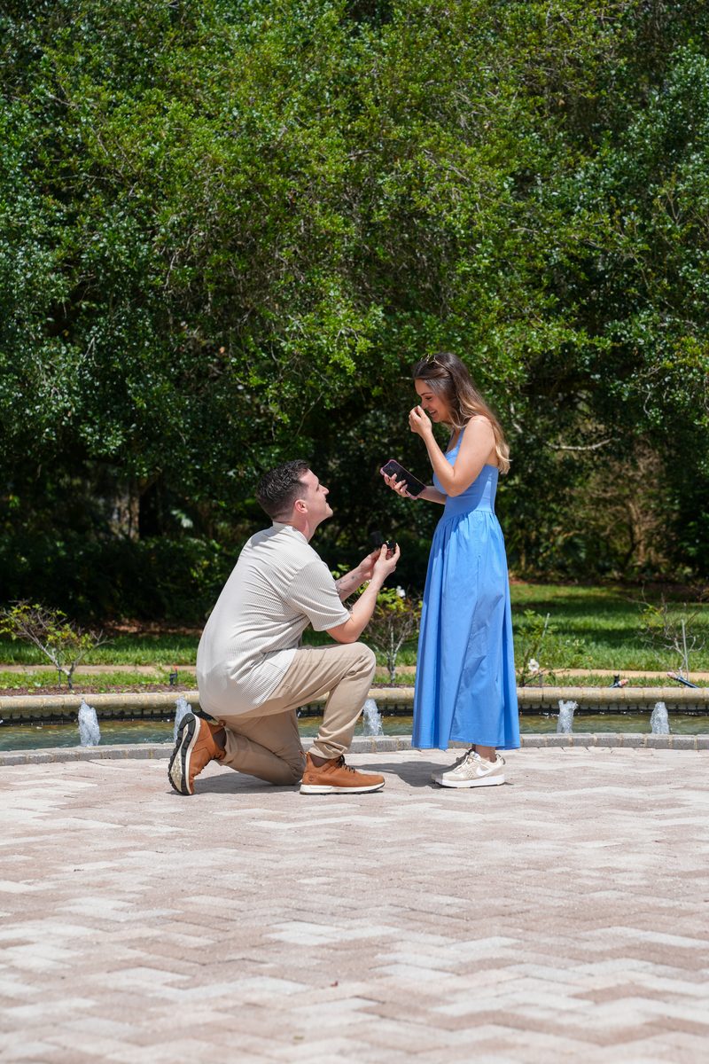 The proposal: he kneels with the ring as she covers her face.